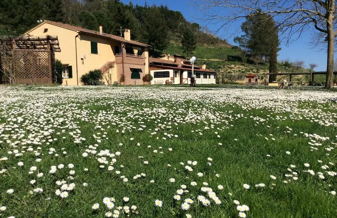 Agriturismo Podere Bucine Basso-1